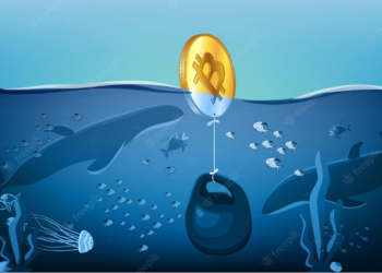Bitcoin Holders Bracing For A Bottom Should Check These Data