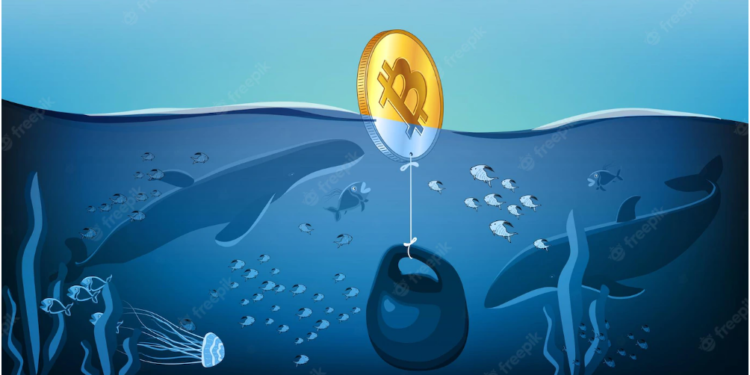 Bitcoin Holders Bracing For A Bottom Should Check These Data