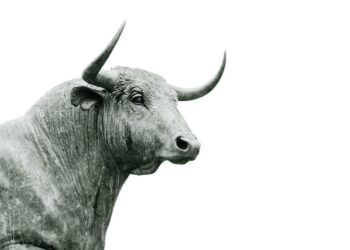 Crypto Won’t See Bull-Run Anytime Soon, Expert Explains Why