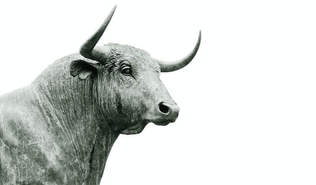 Crypto Won’t See Bull-Run Anytime Soon, Expert Explains Why