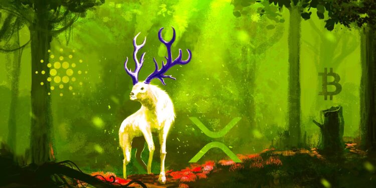 Bitcoin, Cardano, XRP and One Ethereum Competitor Are Now Flashing Bullish Signal: Santiment