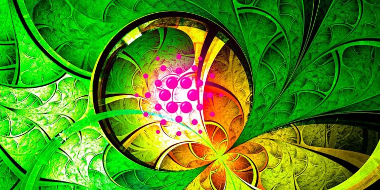 Analyst Updates Outlook on Bitcoin and Solana, Says One Catalyst Could Trigger Cardano To ‘Roll the Market Over’