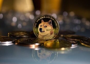 Dogecoin Holders Increased By 100K In Just Three Months