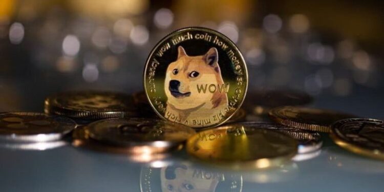 Dogecoin Holders Increased By 100K In Just Three Months
