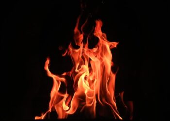 Dogecoin On Fire Rallies After Elon Musk-Twitter Deal Confirmation
