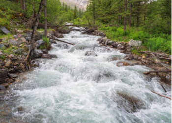Why FLOW Is Diverted By Bearish Current Amid Relative Inactivity