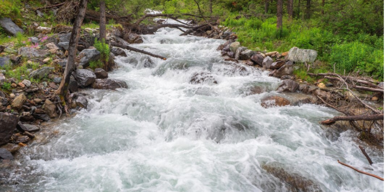 Why FLOW Is Diverted By Bearish Current Amid Relative Inactivity