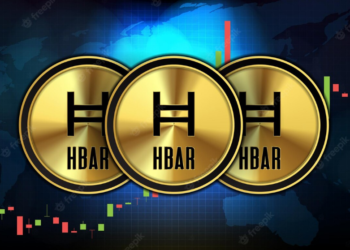 Investors Should Check These Data Before Buying HBAR