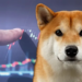 Shiba Inu To Extricate From Bearish Grip As SHIB Is Seen Rising