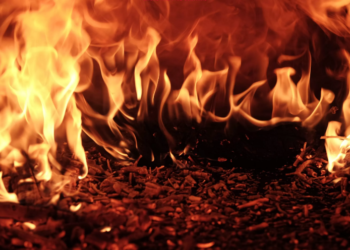 Shiba Inu Burn Rate Has Just Spiked By An Impressive 1,860%