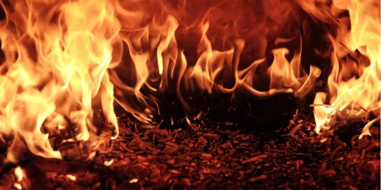 Shiba Inu Burn Rate Has Just Spiked By An Impressive 1,860%