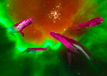 Ethereum Whale Suddenly Moves $22,200,000 in ETH After Lying Dormant for Over Six Years: Santiment