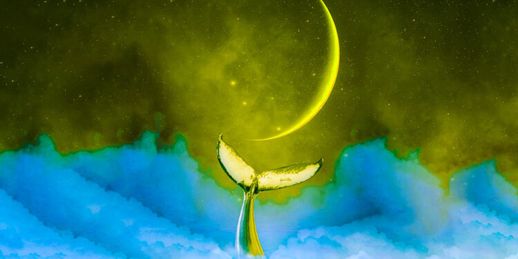 Crypto Whales Splurge Over $312,000,000 on One Ethereum-Based Altcoin in Massive Accumulation Frenzy: Santiment