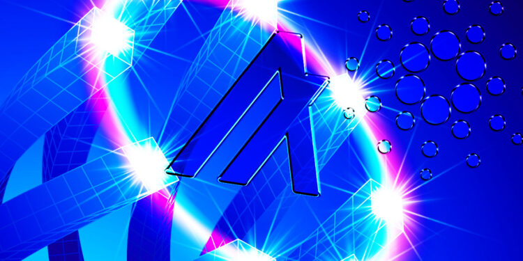 Cardano (ADA) and Algorand (ALGO) Are Two Blockchains To Watch Next Bull Cycle, Says Coin Bureau – Here’s Why