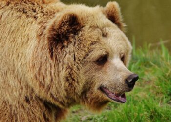 Reports Show Bear Market Didn’t Affect Crypto Fundamentals
