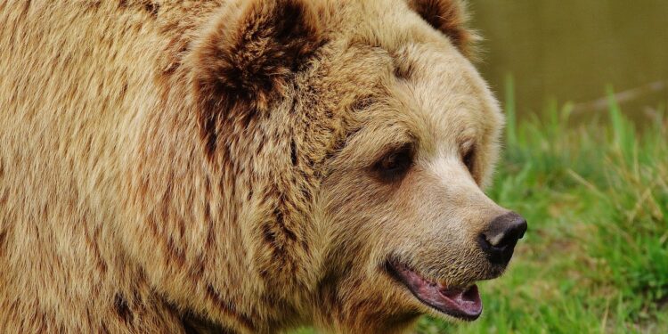 Reports Show Bear Market Didn’t Affect Crypto Fundamentals