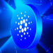 Charles Hoskinson Makes Cardano (ADA) Prediction, Says Ecosystem Will Become Network of Blockchains