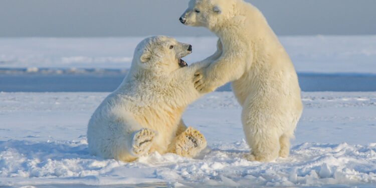 The Year Of Crypto Market Fear