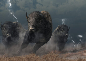 Bitcoin Price Bulls Reclaim $20,000