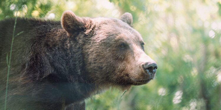 Dormant Supply On The Move Again