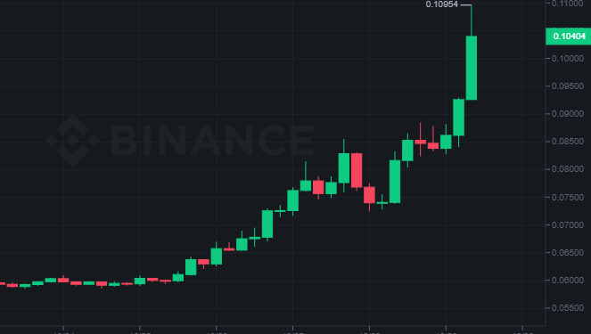Traders Predict These 7 Coins To Pump 10x After Dogecoin Price Explodes