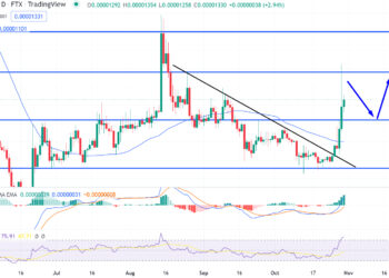 Best Coins to Buy Today 29 October – D2T, DOGE, SHIB, IMPT, RIA