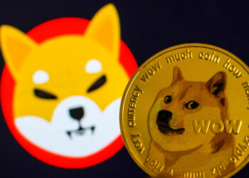 Dogecoin And Shiba Inu In The Lead
