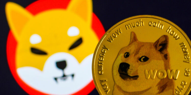 Dogecoin And Shiba Inu In The Lead