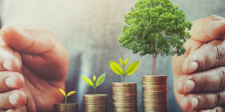 Eco-friendly Crypto Presale Raises $12 Million
