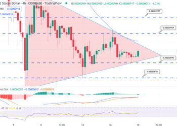 Shiba Inu Price Prediction – Can SHIB Reach $1 in the Next Bull Market?