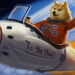 Dogecoin Holds $0.08 Against All Odds; Here is Why This Will Favor DOGE Army