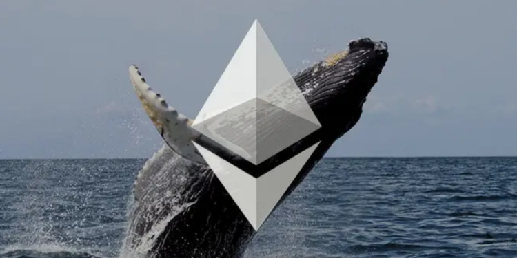 Ethereum Whales Front Run Major Move, On-Chain Data Suggests