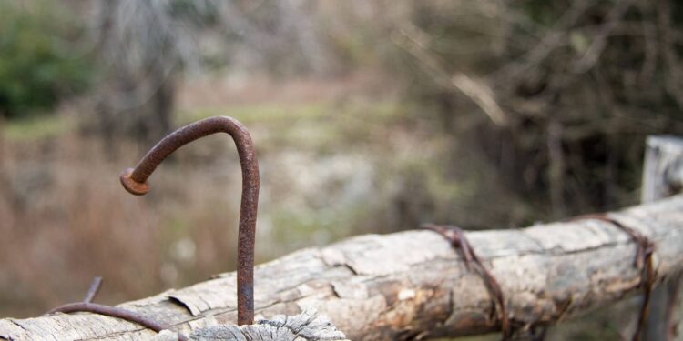 Algorand (ALGO) Loses Its Gains As Majority Of Coins Plummet