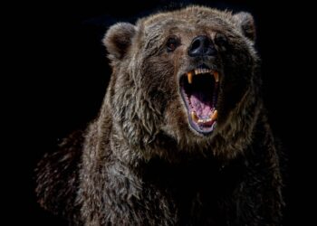 Bitcoin Records Fresh Market Low At $17K, Was This The Bottom?