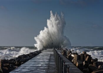 BNB Coin Surges By Over 20% During Market Pullback