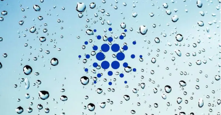 Cardano Registers Milestone With Over 7 Million Native Tokens