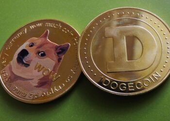 Dogecoin Slides To Support Of $0.11; These Indicators Point To Bearish Weakness 