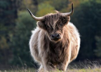 ETC Sees 14% Gains Amidst Crypto Market Recovery