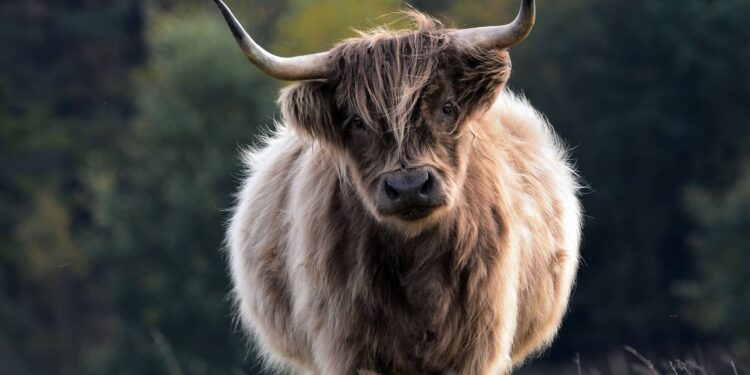 ETC Sees 14% Gains Amidst Crypto Market Recovery