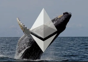 Why Ethereum Whales Are Accumulating ETH In ‘Abnormal’ Way