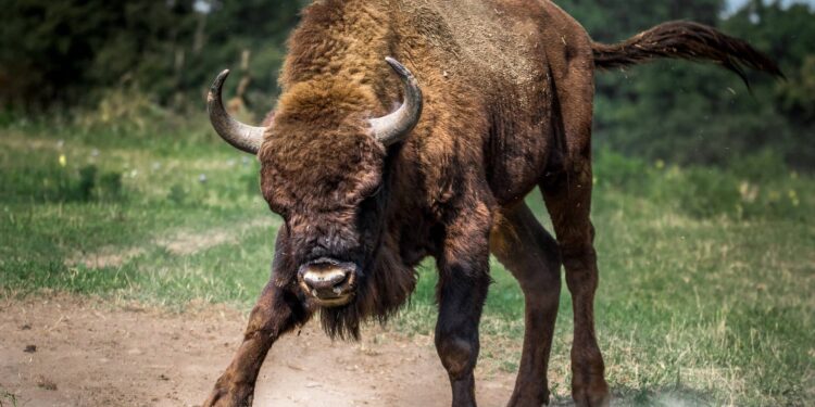 Trust Wallet Token (TWT) Undermines Market Downtrends