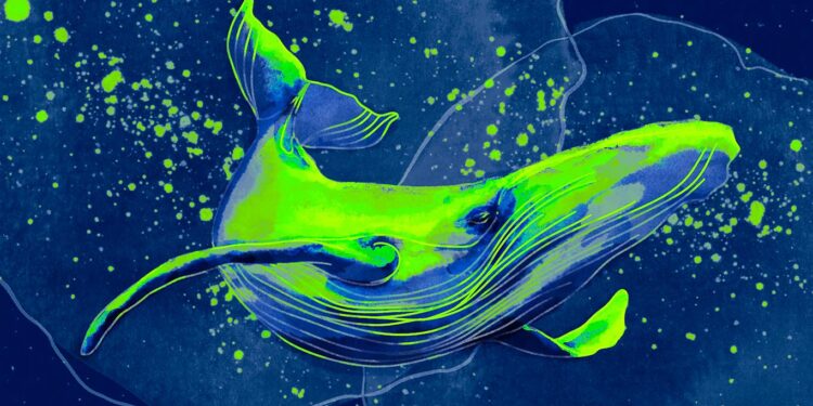 Whales Scoop Up One Ethereum-Based Altcoin While Dumping FTX and Crypto.com Exchange Tokens: Santiment