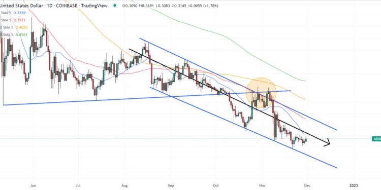 Cardano Price Forecast as 7,000,000 Native Tokens Launch on the Blockchain – ADA to $1 Soon?