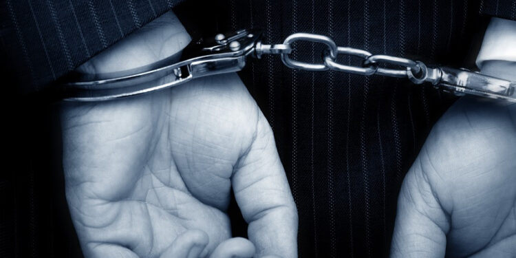 Indian CBDC Pilot to Launch Within a Month, Three Arrested for Major Crypto-related Crimes, EQONEX Files for Debt Restructuring