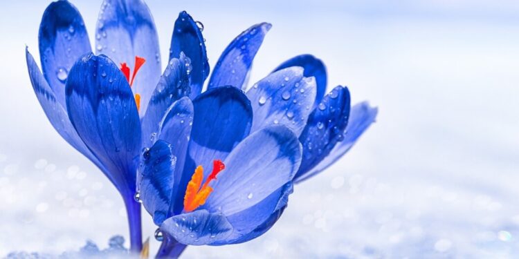 Lessons from Bear Market and When the Winter Will End