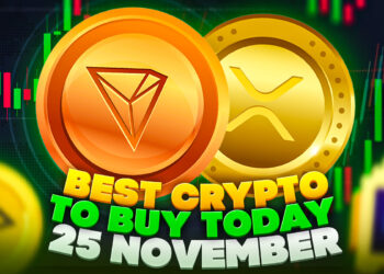 Best Crypto to Buy Today D2T, 25 November – D2T, XRP, TARO, TRX, RIA