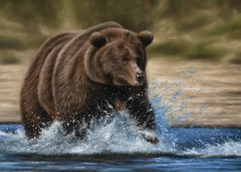 How Long Before Bears Retest $14,000?