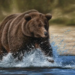 How Long Before Bears Retest $14,000?