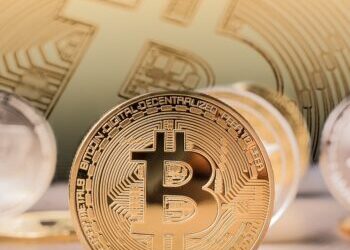 A Large Number of Bitcoin Retail Investors Incur Losses, BIS Study Reveals