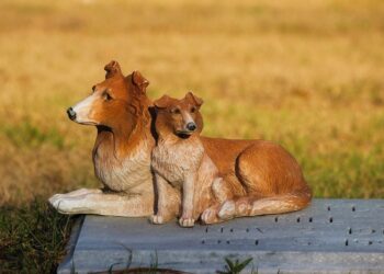 Dogecoin Crosses A 200-Day Moving Average Since June 2021
